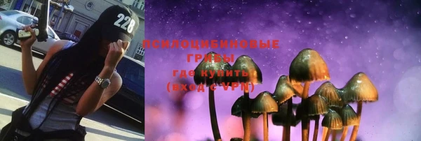 apvp Новодвинск