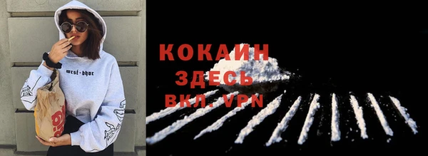 спиды Алзамай