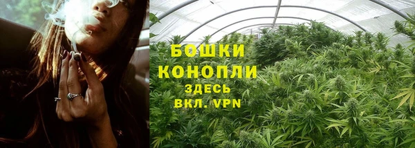 дживик Новокубанск