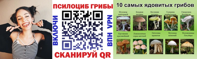 Купить закладки  Всеволожск  Псилоцибиновые грибы Psilocybe 